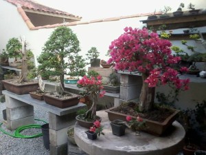 1004614_10201509796373616_2100114154_n