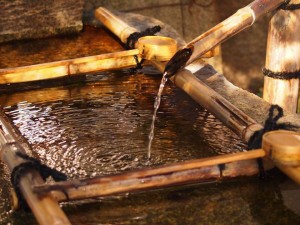 13797_323906187725688_1561901961_n