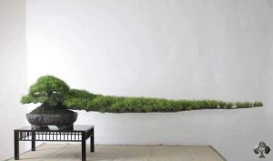 12279185_1083418725004528_8621103570419163410_n