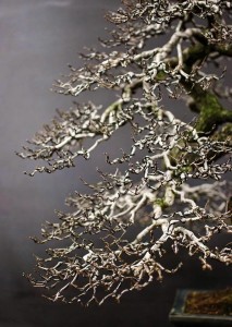 535902_662827523727926_1914752676_n