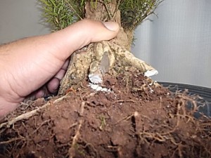 Solo saturado e compactado