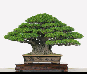 3484351777_a8028b0980