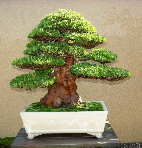 39739_449562949253_630444253_6097991_6650506_n