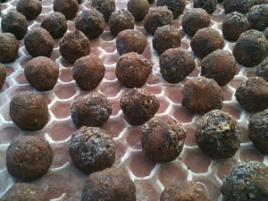 Bolinhas de adubo orgânico caseiro.