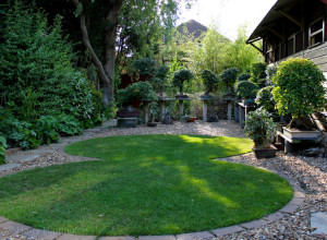 Summer bonsai images (7)