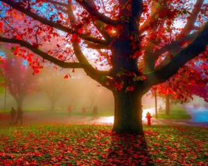 1558402_844196435596717_1057928496_n