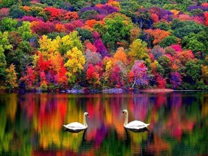 Autumn in New Hampshire, USA