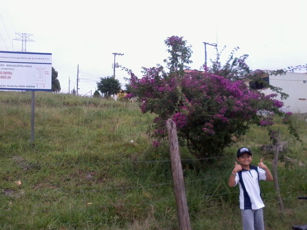 Gabriel todo feliz com o achado, sem nem imaginar se daria pra coletar.