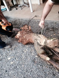 1375148_524723414286935_885144692_n