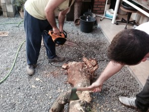 1379627_524723167620293_136083624_n