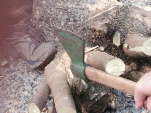 Trabalho de gente grande, moto-serra e machado??? Sim, as raízes tupiniquins resurgiram!