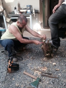 1383756_524723217620288_715746301_n