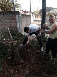 1384037_524722304287046_169287378_n-1-225x300