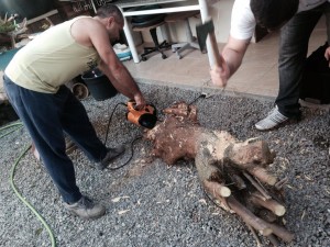 1384052_524723240953619_1539718963_n