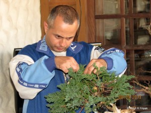 1175291_646383275385906_114715899_n