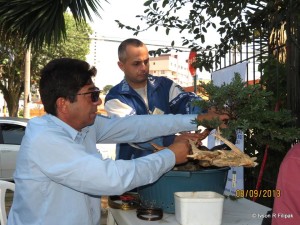 1176399_646383832052517_271118092_n