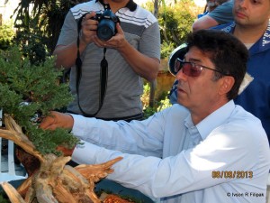 1234282_646383868719180_280116566_n