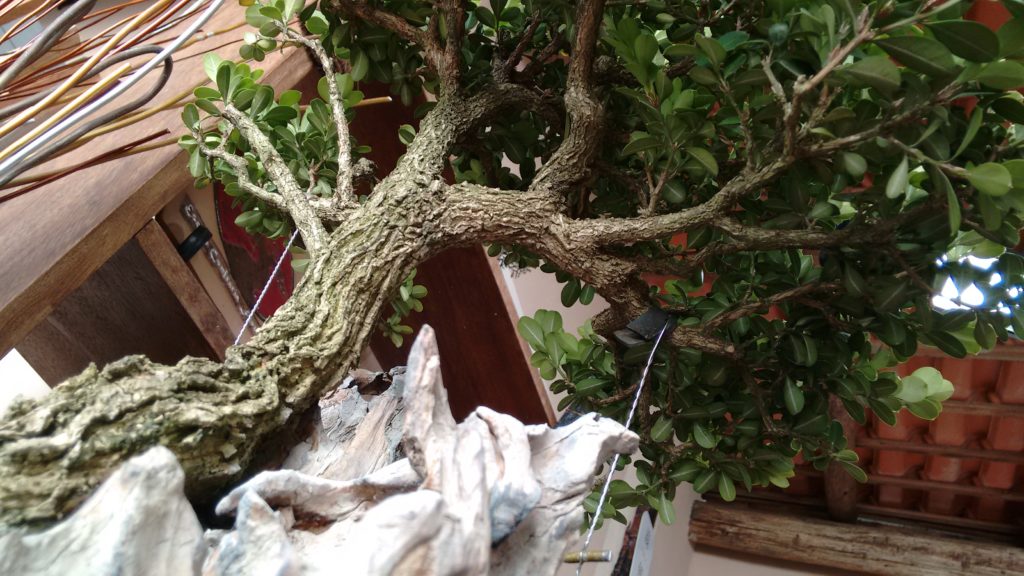 img_20161002_153208442