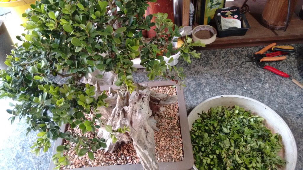 img_20161002_162954373