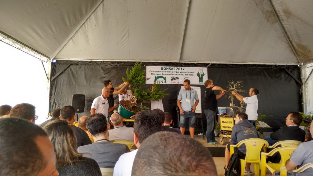 IMG_20170528_101600958_HDR