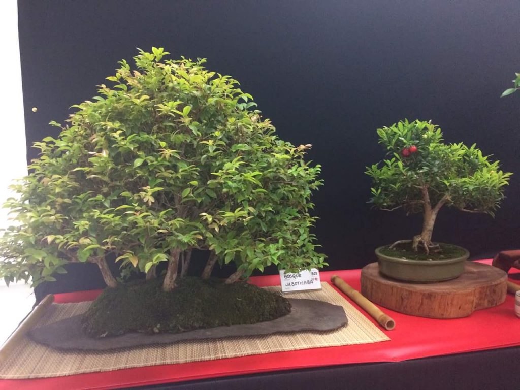 FB_IMG_1506814342580