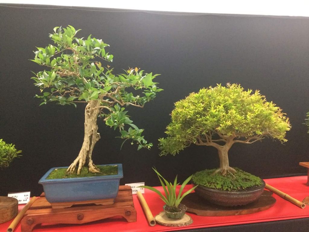 FB_IMG_1506814345997