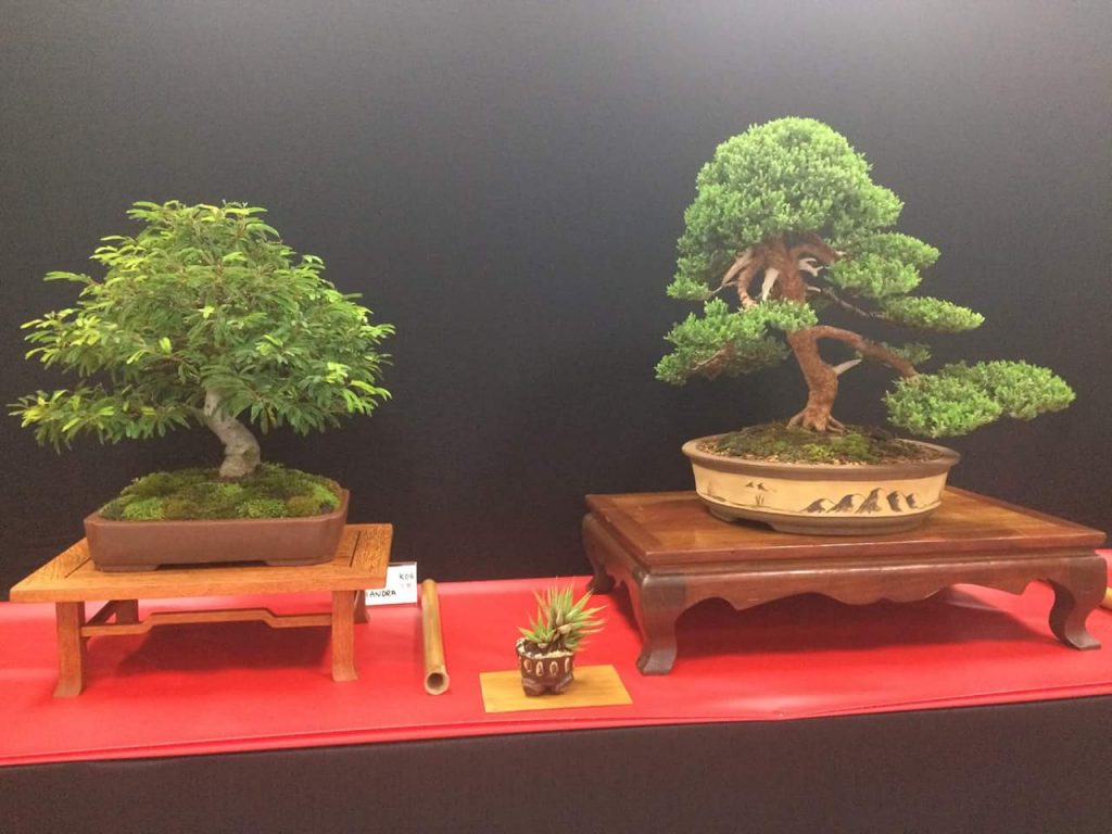 FB_IMG_1506814348665