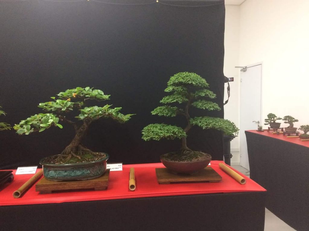 FB_IMG_1506814353737