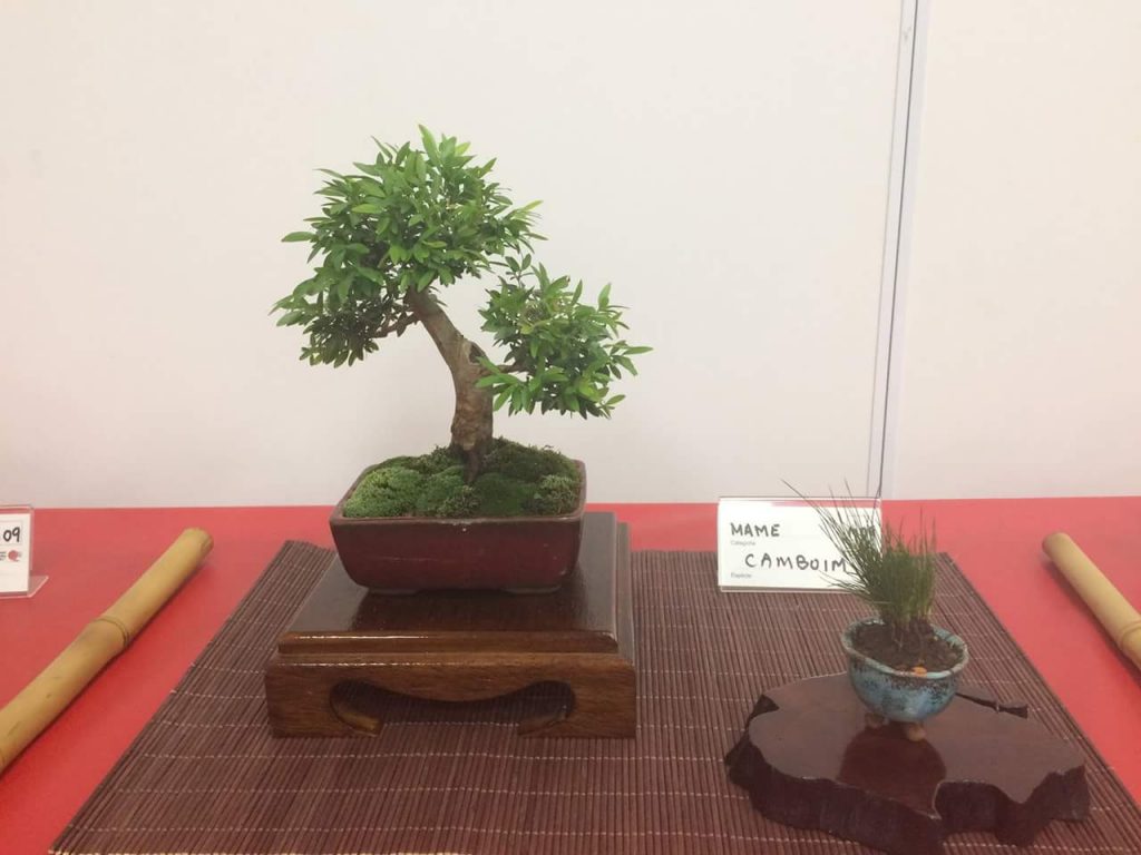 FB_IMG_1506814355828