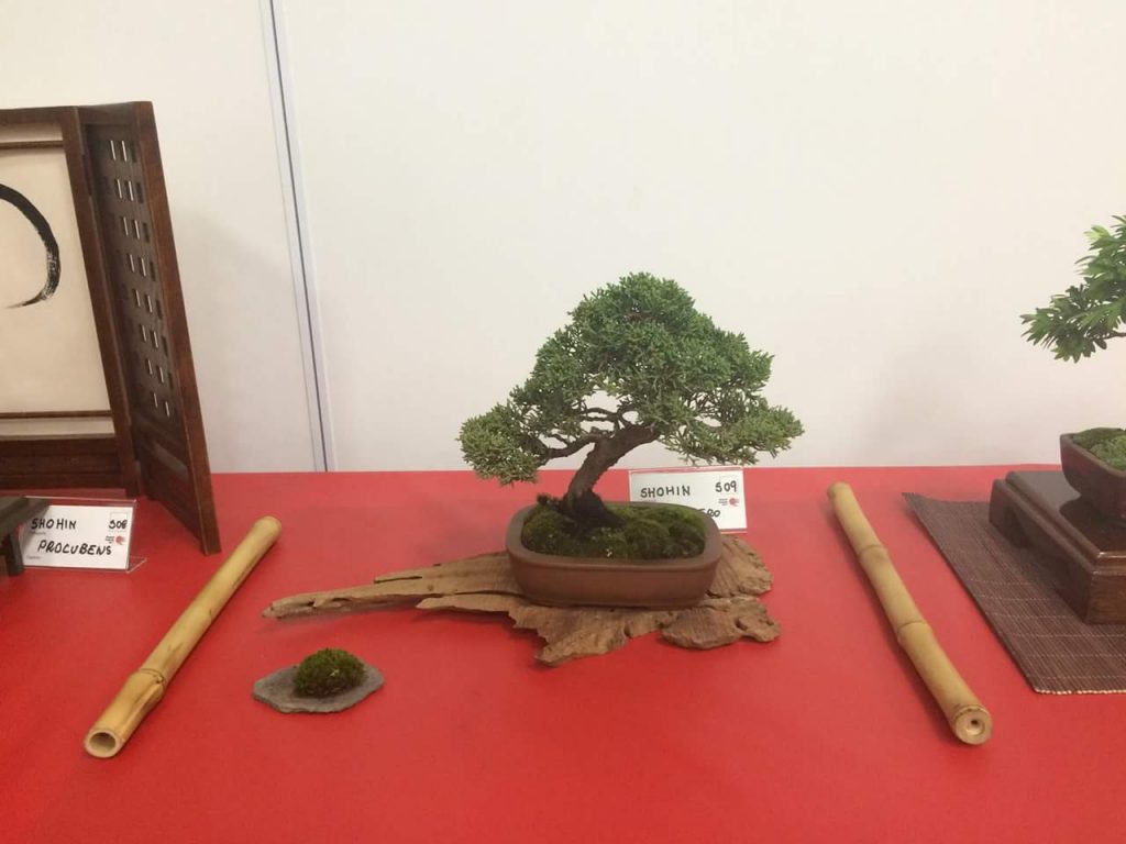 FB_IMG_1506814358010