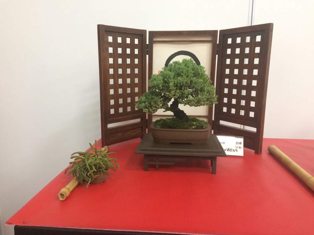 FB_IMG_1506814360332