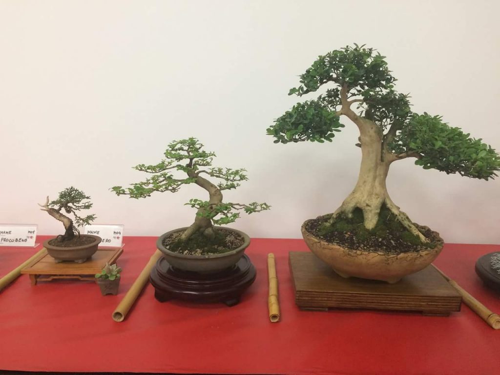 FB_IMG_1506814362531