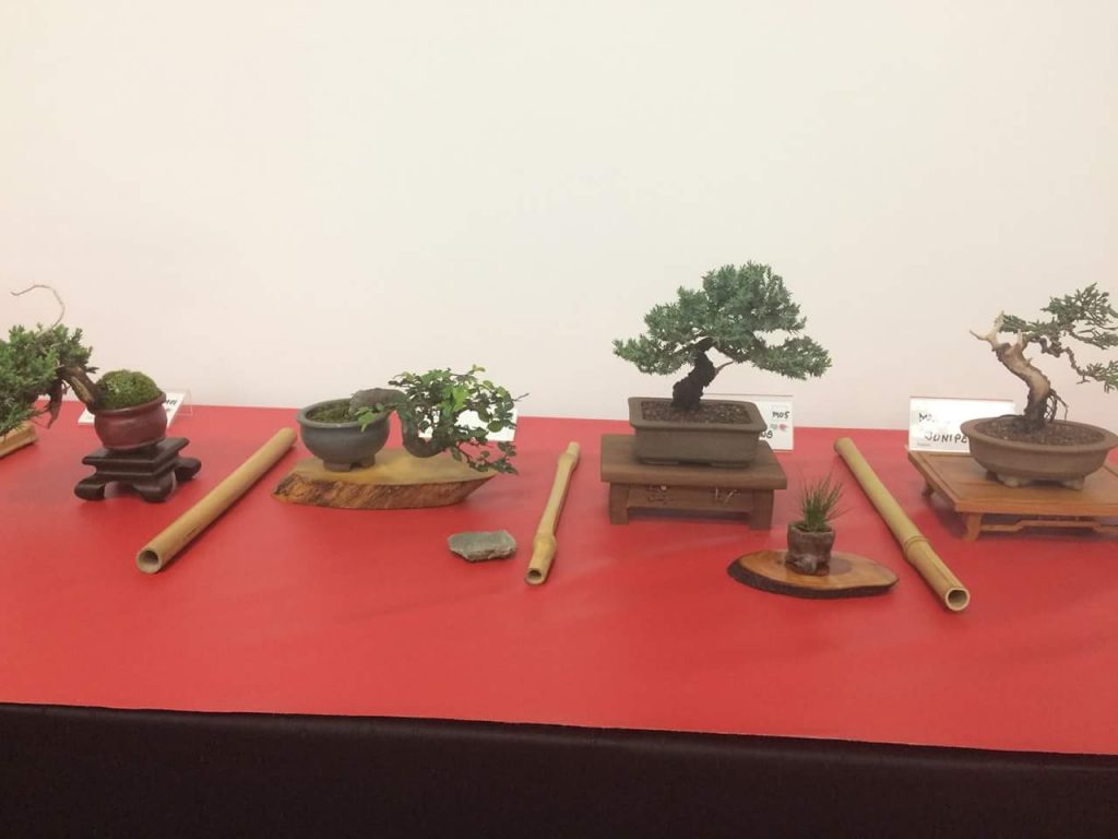 FB_IMG_1506814364728