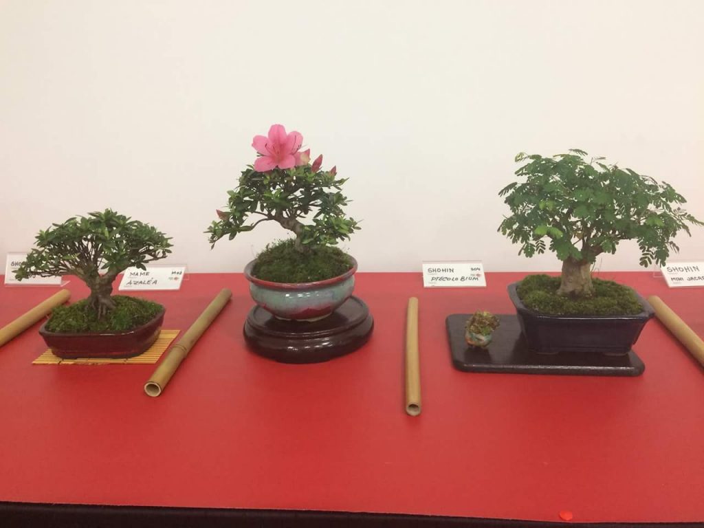 FB_IMG_1506814368706