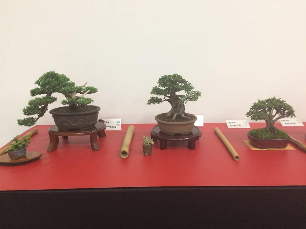 FB_IMG_1506814370774