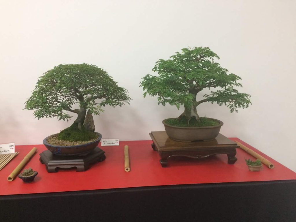 FB_IMG_1506814374671