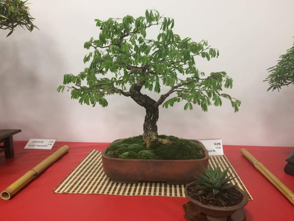 FB_IMG_1506814377404