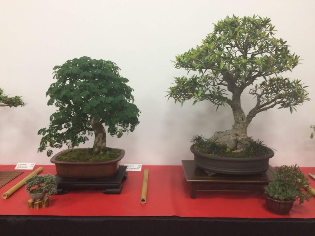 FB_IMG_1506814379643