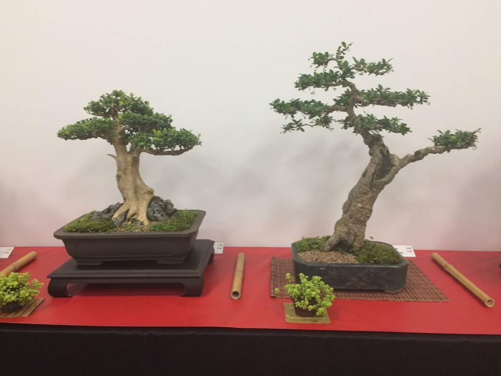 FB_IMG_1506814382783