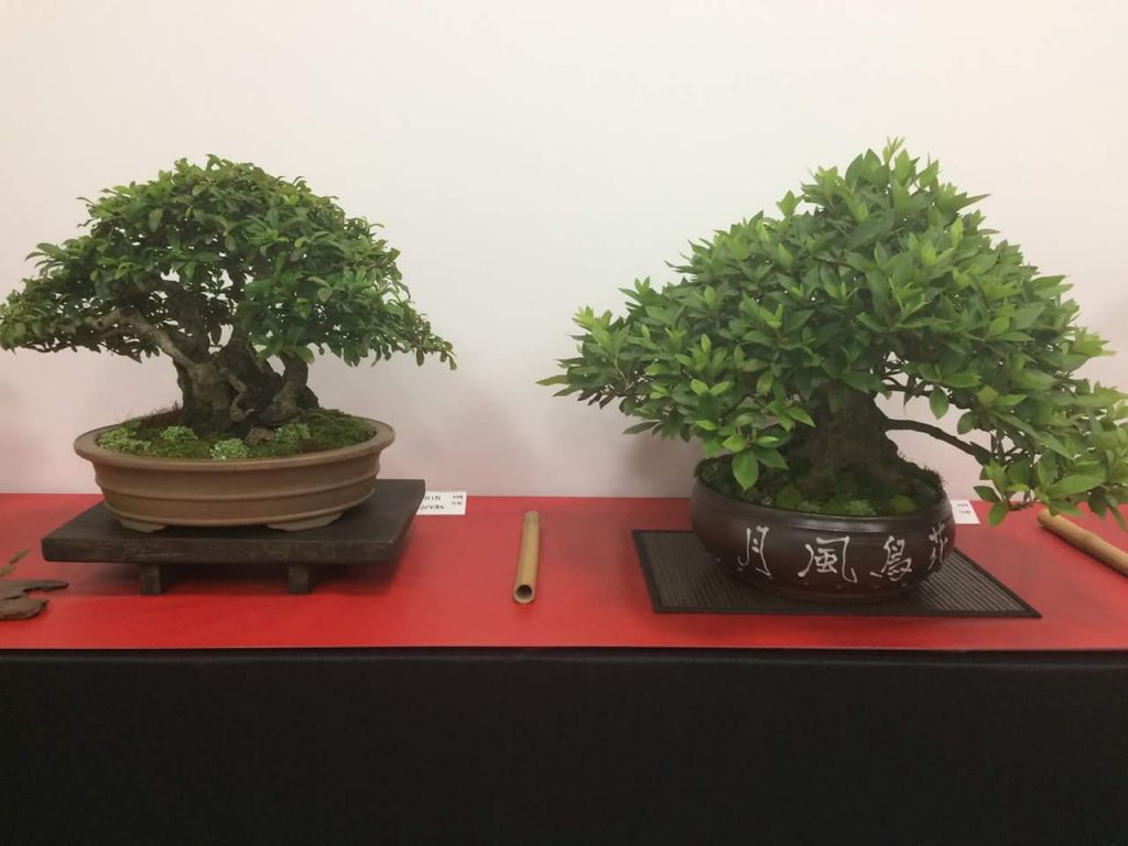 FB_IMG_1506814385351