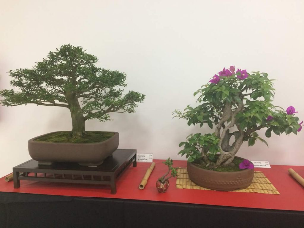 FB_IMG_1506814388156