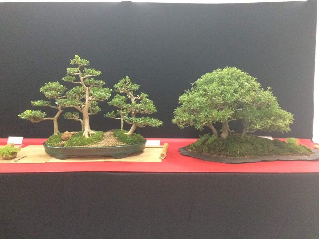 FB_IMG_1506814390779