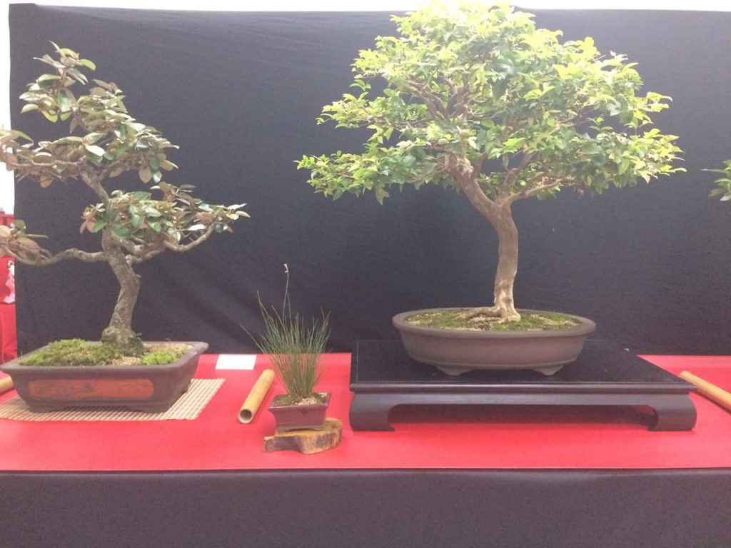 FB_IMG_1506814397213