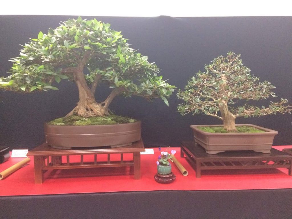 FB_IMG_1506814401746