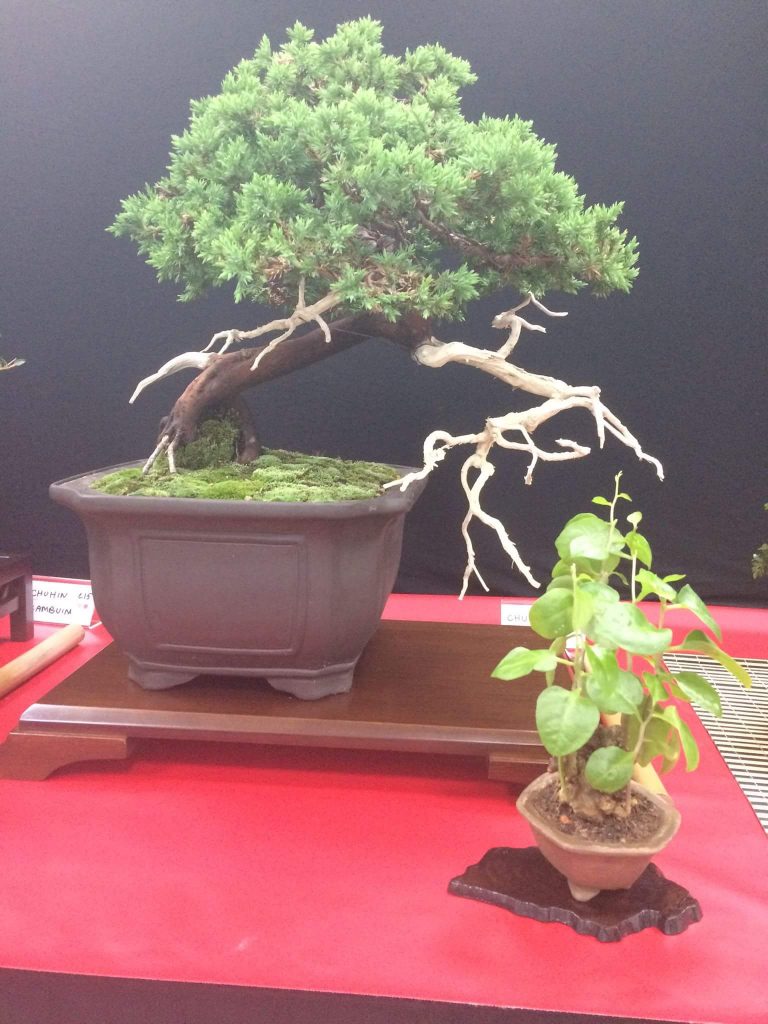 FB_IMG_1506814404734