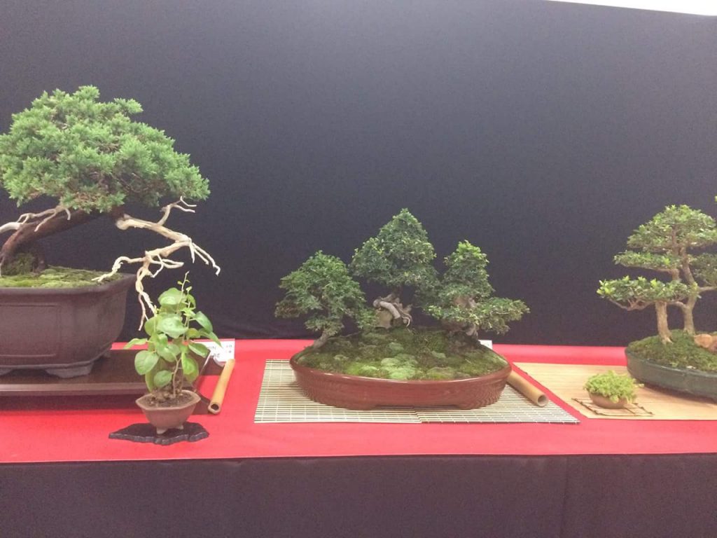 FB_IMG_1506814407742