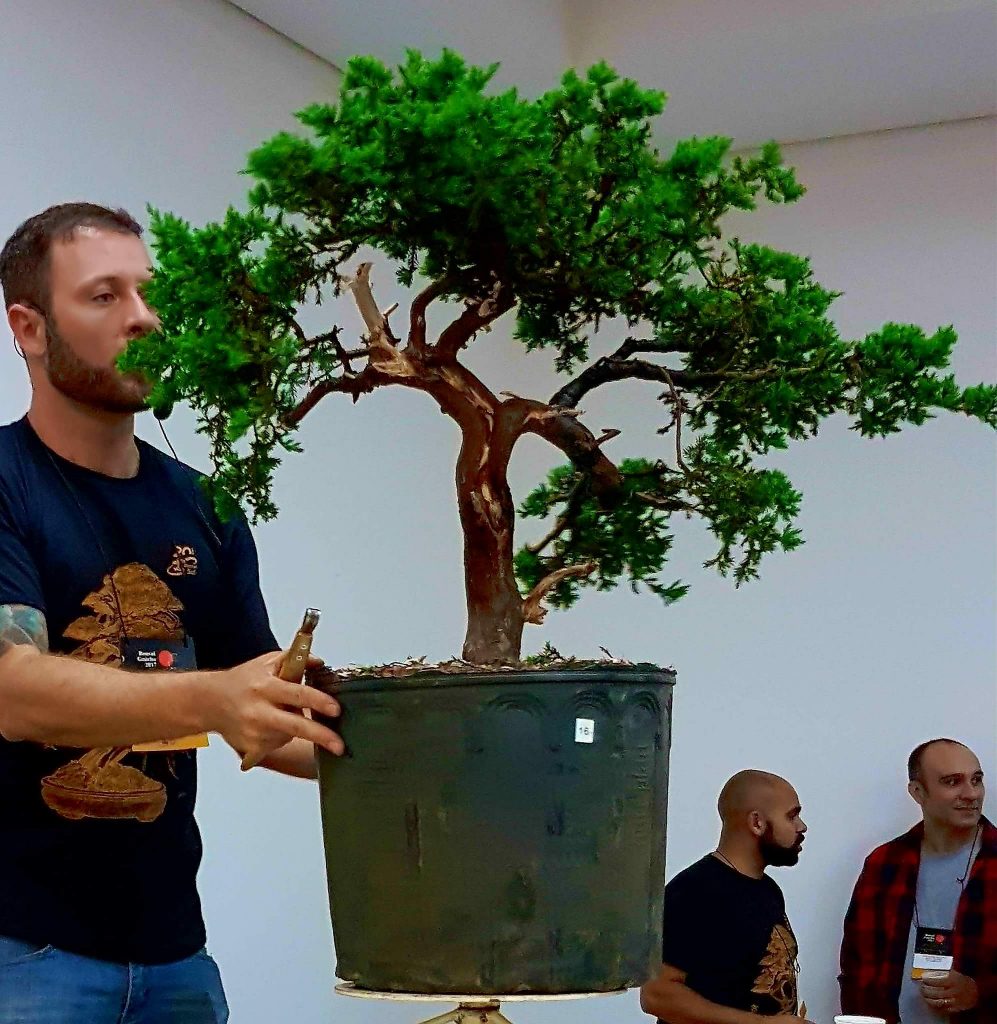 FB_IMG_1506815912613