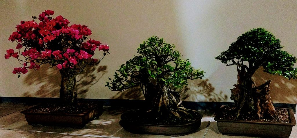 IMG_20170922_234456887~2