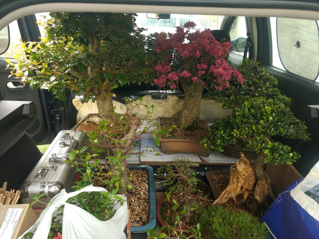 IMG_20170923_111532753