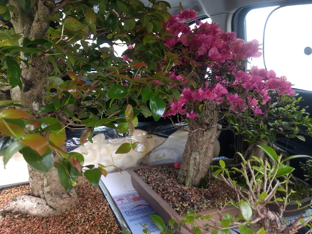 IMG_20170923_112116498